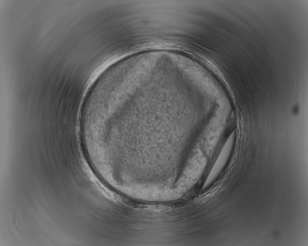 X0000116010803200912101340