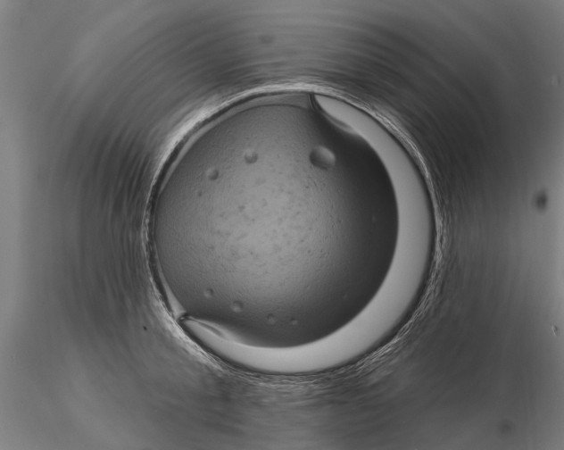 X0000116010805200912101340