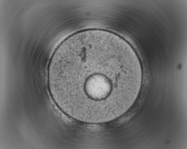 X0000116010807200912101340