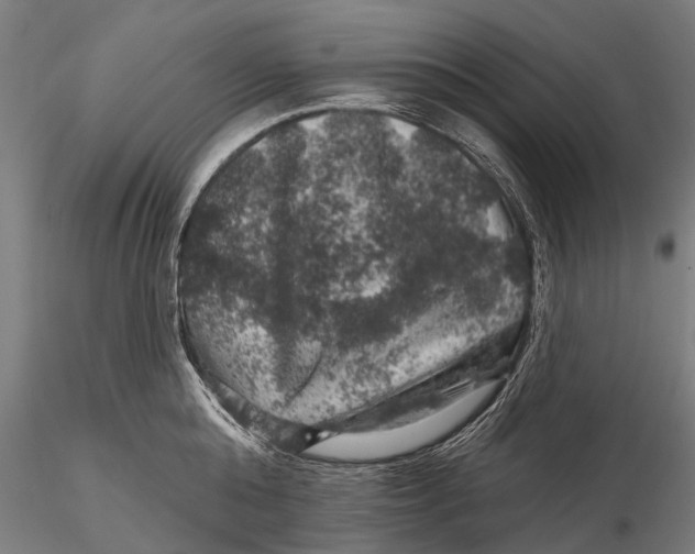 X0000116010808200912101340