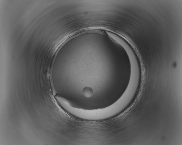 X0000116010809200912101340