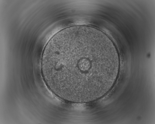 X0000116010810200912101340