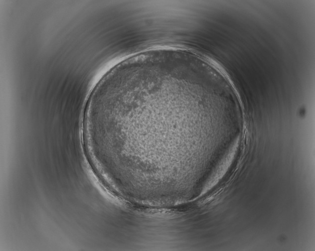 X0000116010811200912101340