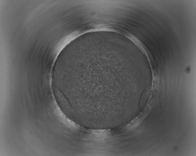 X0000116010813200912101340