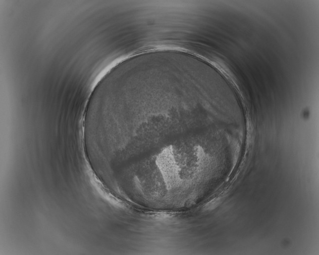 X0000116010814200912101340