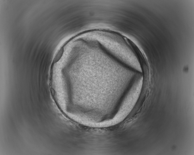 X0000116010815200912101340