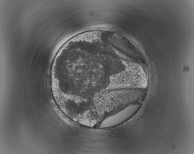 X0000116010816200912101340