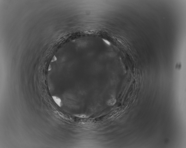 X0000116010817200912101339