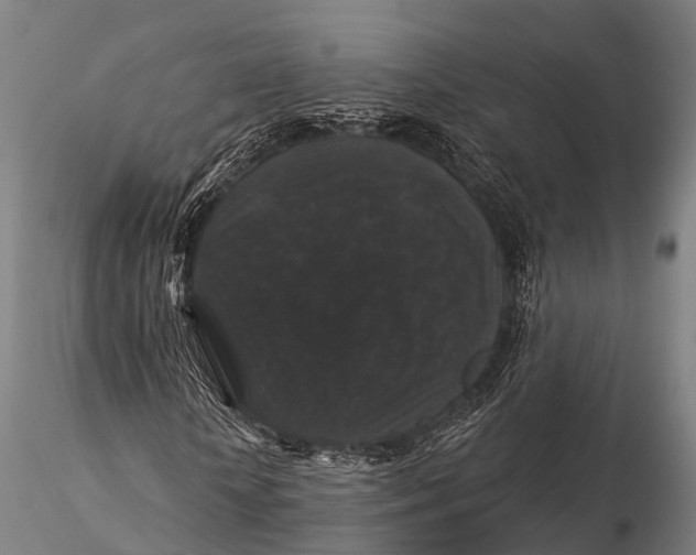 X0000116010818200912101339