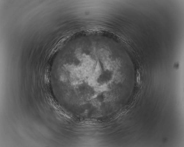 X0000116010819200912101339