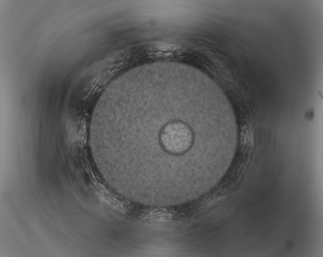 X0000116010820200912101339