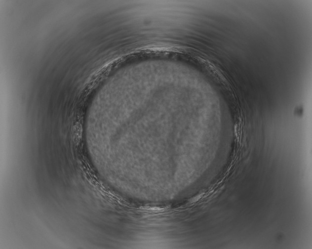 X0000116010821200912101339