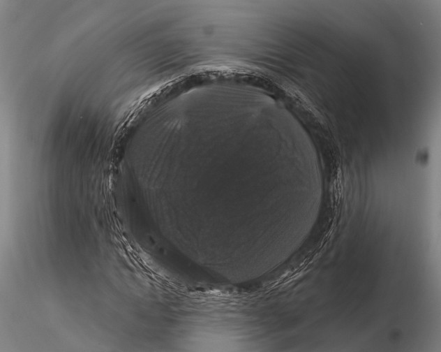 X0000116010822200912101339