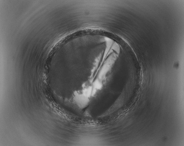 X0000116010823200912101339