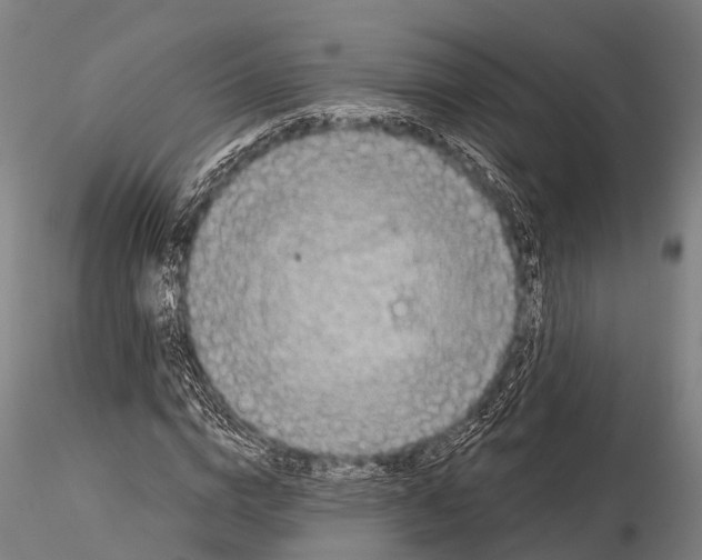 X0000116010824200912101339