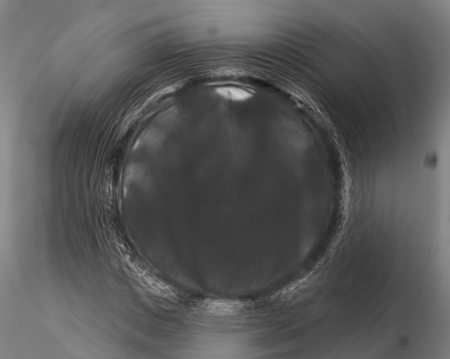 X0000116010825200912101339