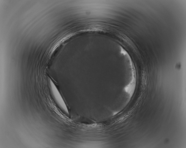 X0000116010826200912101339