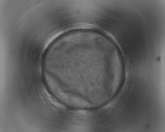 X0000116010827200912101339