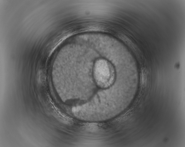 X0000116010828200912101339