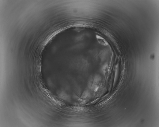 X0000116010829200912101339