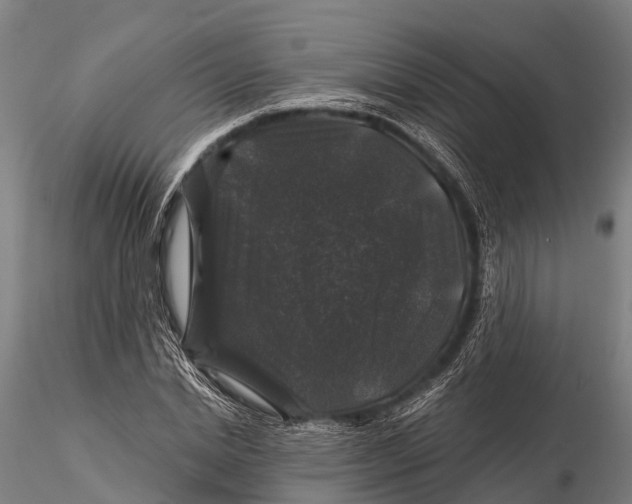 X0000116010830200912101339