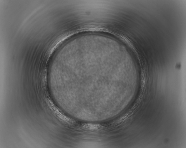 X0000116010831200912101339