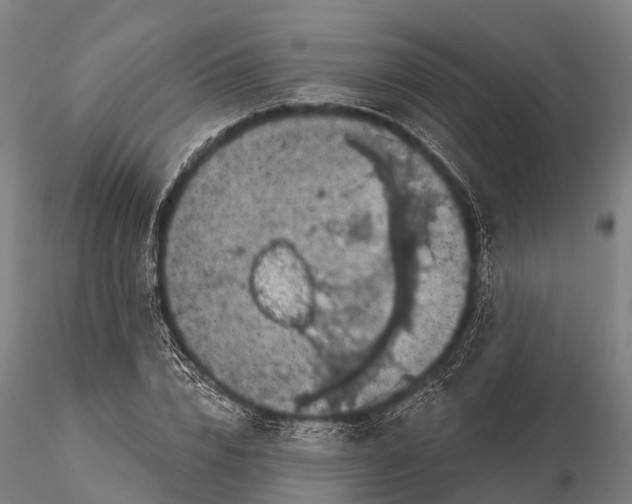 X0000116010832200912101339