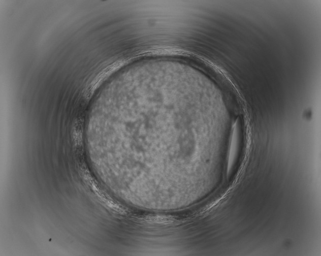 X0000116010833200912101339