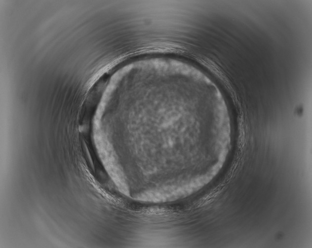 X0000116010834200912101339