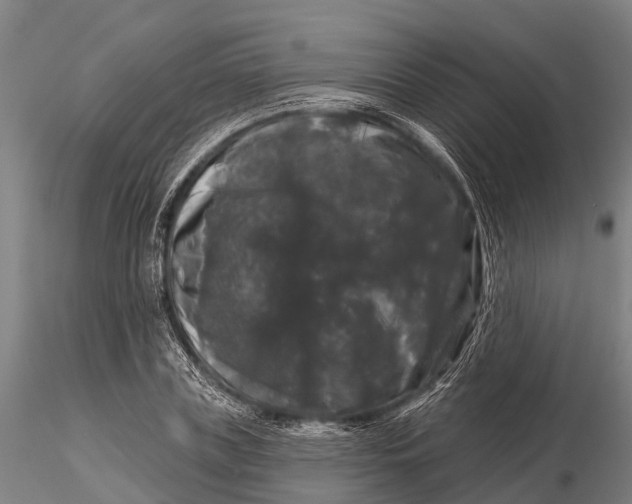 X0000116010835200912101339