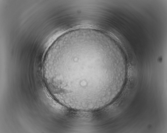 X0000116010836200912101339