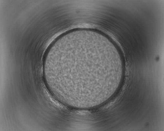 X0000116010837200912101339