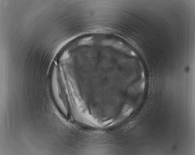 X0000116010838200912101339