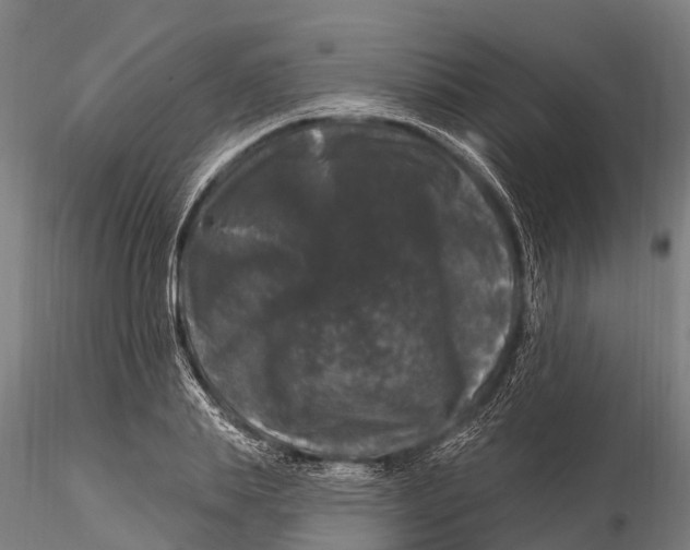 X0000116010839200912101339