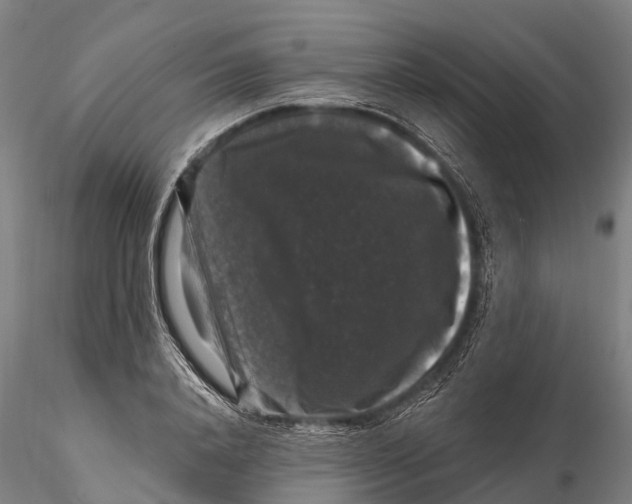 X0000116010840200912101339