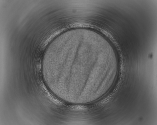 X0000116010841200912101339