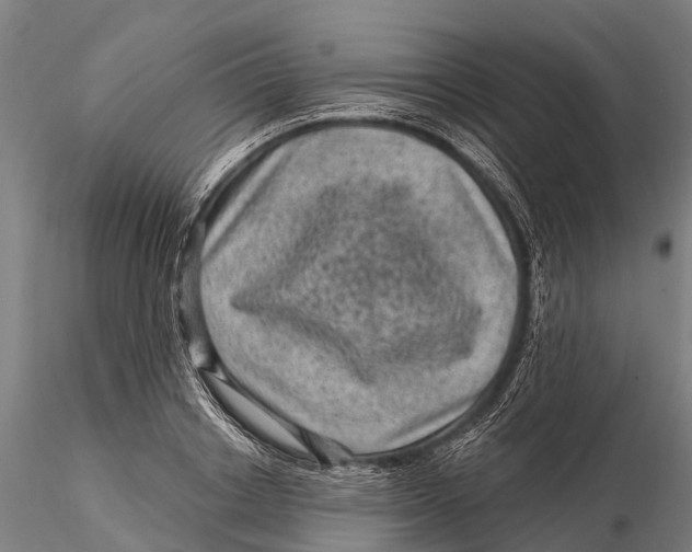 X0000116010842200912101339