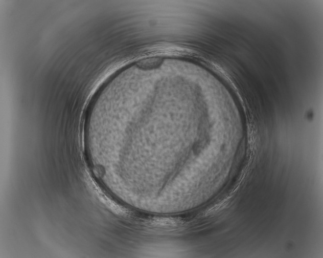 X0000116010843200912101339