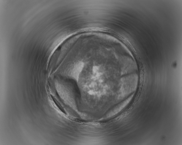 X0000116010844200912101339