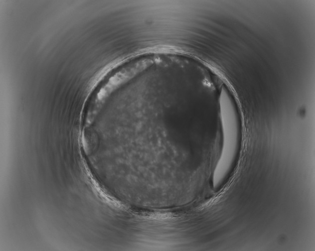 X0000116010845200912101339