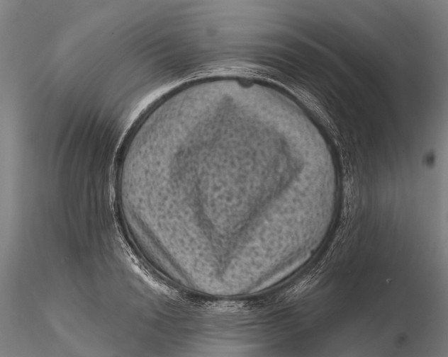 X0000116010846200912101339