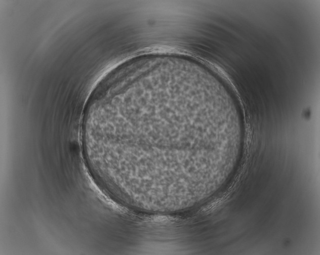 X0000116010847200912101339