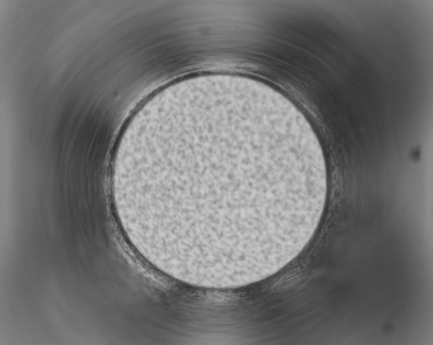 X0000116010848200912101339