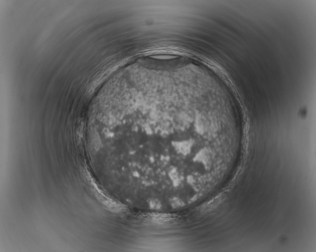 X0000116010849200912101340