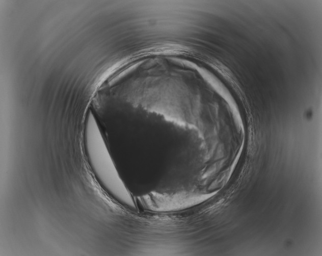 X0000116010850200912101340