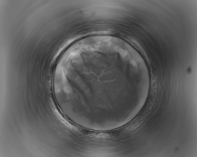 X0000116010851200912101340