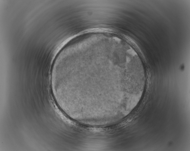 X0000116010852200912101340