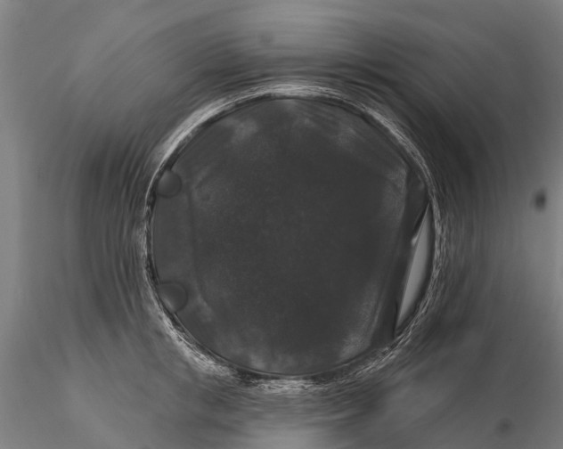 X0000116010853200912101340