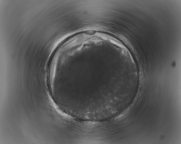 X0000116010854200912101340