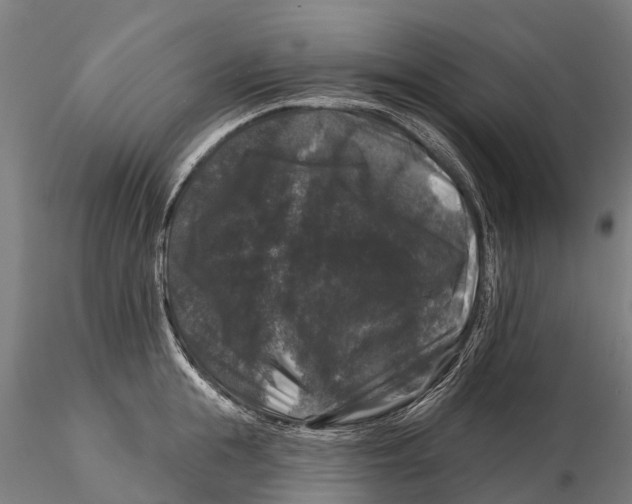 X0000116010855200912101340